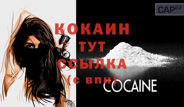 стафф Гусев