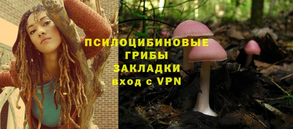 ешки Горно-Алтайск